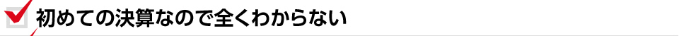 初めての決算なので全くわからない